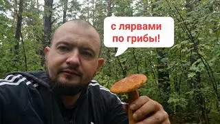 Выход с ЛЯРВАМИ в лес!