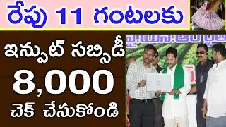 ఏపీ రేపే రైతుల ఖాతాల్లోకి ఇన్పుట్ సబ్సిడీ డబ్బులు విడుదల|ap ysr input subsidy amount released|ap