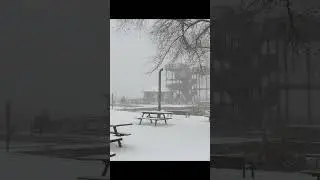 Winter Wonderland!(Point Pelee National Park, wonder Ontario Canada)