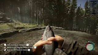 I5 4590 RX580 8GB Sons Of The Forest High Settings