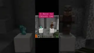 The BEST SATISFACTION VILLAGER OR DIAMOND 💎 CHOOSE ONE MINECRAFT Gameplay#16