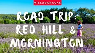 ROAD TRIP: Red Hill & Mornington Peninsula