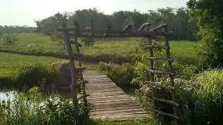 🏕️ 🌿our camping spot in rural iowa🌄🍃
