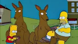 Kangaroo Pouches - The Simpsons