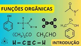 Funções Orgânicas (Introdução) | Química Orgânica | O PRÉ-QUÍMICO