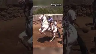 Coleadero Cieneguitas de Fern&aacute;ndez - Caballo Rajado #telepaisashorts
