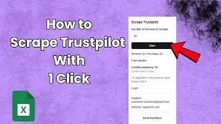 Trustpilot Scraper Demo: Instantly Scrape Hundreds Of Trustpilot Reviews