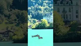 Lake Brienz from the best seat #travel #lifeisbutadream #switzerland #swiss