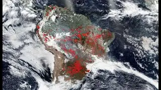 Jair Bolsonaro claims NGOs behind Amazon forest fire surge &ndash; but provides no evidence | The Guardian