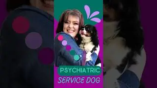 Psychiatric Service Dogs Save Lives! 🐕&zwj;🦺PTSD + Autism #SDIT