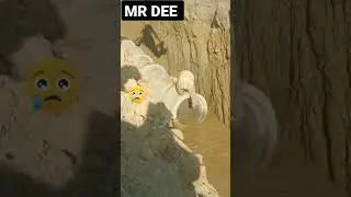 Mr Dee react #12 #shorts