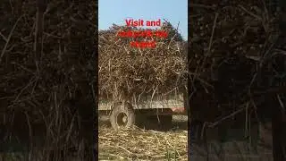alghazi tractor with loaded trolley power performance #short #youtubeshorts #power #TAHIRvlog