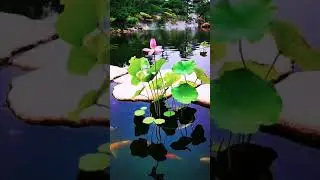 Beautiful places, Wonders places you must visit, best tourist destinations #short282