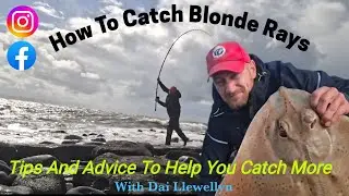 Blonde Ray Carnage In South Wales 