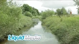 Riverlinks Project: Foyle Wetlands