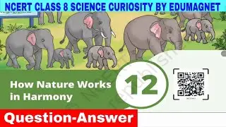 Class 8 Science Curiosity Chapter 12 Question Answer How Nature Works in Harmomy | EDUMAGNET 