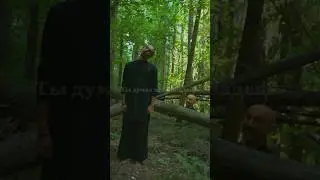 Их теперь полтора #horrorrap