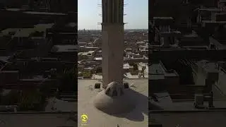 Dowlat Abad Garden(باغ دولت&zwnj;آباد)