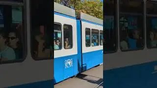 One of the 2 last 1. Gen Tram 2000 in the last day of Service in Z&uuml;rich#shorts#tram2000#tram#train