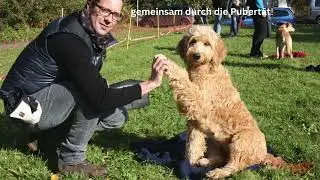 Projekt Wohlerzogen