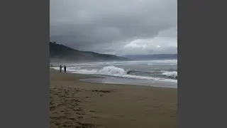 Beach Playa