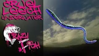 Приманки под водой. Crazy Fish. Cruel Leech. Underwater.