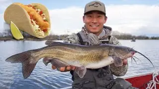 Spring Catfish CATCH CLEAN COOK! {Fish Tacos}