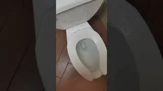 subway womens restroom east chicago indiana