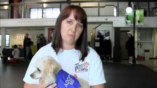 Tiny Paws Dog Rescue Canada