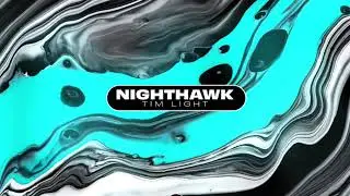 Tim Light - NightHawk