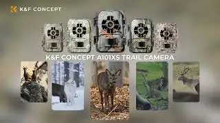 Wildlife Trail Camera 0.2S Trigger Motion Activated 24MP 1296P IP66 Waterproof Hunting Camera