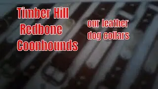 Huntsmart dog collars with  name plate & shout out to nite life kennel