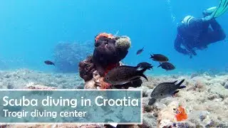 Scuba diving in Croatia, Trogir - Okrug