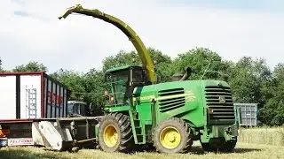 Triticale Silage | John Deere 7350 + Dominoni Domai MPD-611 | MF 7618/6470/8240