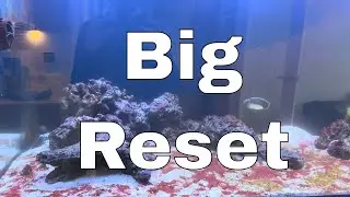Fixing the Waterbox Reef LX 270.6 in 30 DAYS - Day 1