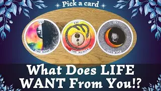 WHAT does LIFE Want From YOU!? ✨🕯️🌱🗝️✨⎜ Pick a card⎜Timeless Reading