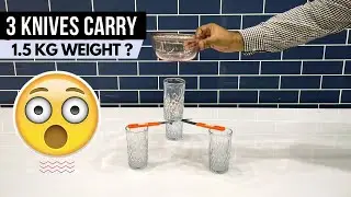 Balancing a Bowl on 3 Knives | Upward and Downward Forces | SolutionInn