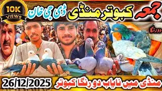 Kabootar Mandi | Dera Ghazi Khan Live Price Update 6th Vlg | DGKhan Mandi | Do Ranga Kabuter Special
