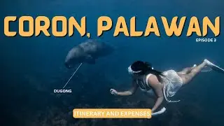 Why I don’t recommend “Dugong Watching” in Coron, Palawan