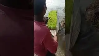 Farmerlife Tamil Nadu Agriculture  tamilan