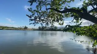 Laguna de El Provenir