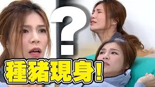 炮仔聲│EP193 曉馨肚裡孩子的爸現身！會不會母憑子貴？ The Sound Of Happiness│Vidol.tv