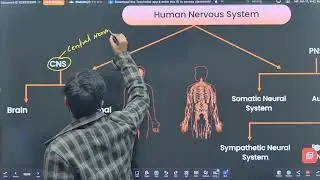 CONTROL  AND COORDINATION || NERVOUS SYSTEM || SCIENCE CLASS 10TH || BY ABHISHEK SIR