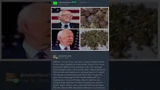 AI made spoof of Joe Biden talking about weed