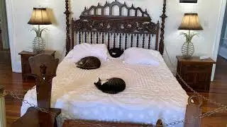 Hemingway House and Museum - Key West, FL
