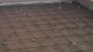 Concrete wire mesh