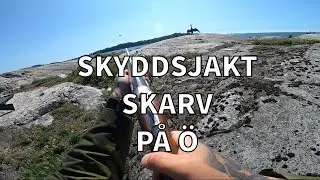 Skyddsjakt skarv p&aring; en &Ouml; 2020-06-24