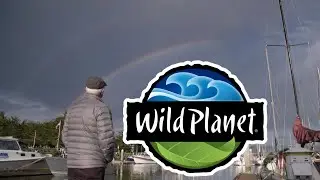 Wild Planet | Short Documentary