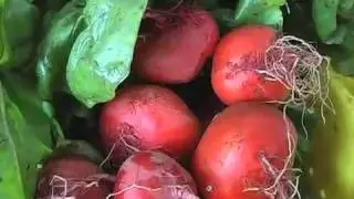 Your World...Bringing it Home: Powisset Farm