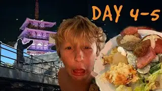 Disney Vlog Day 4-5(67) (DISNNEY FINALE)